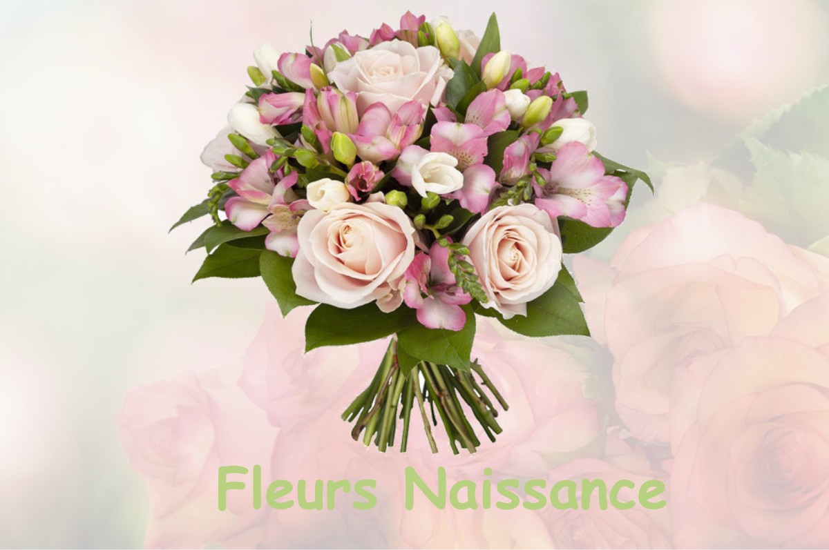 fleurs naissance SAINT-NIZIER-DU-MOUCHEROTTE