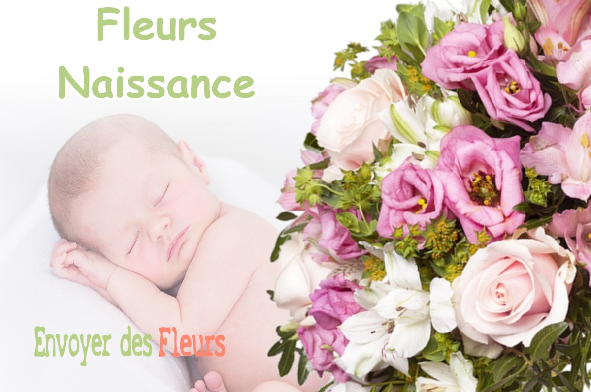 lIVRAISON FLEURS NAISSANCE à SAINT-NIZIER-DU-MOUCHEROTTE